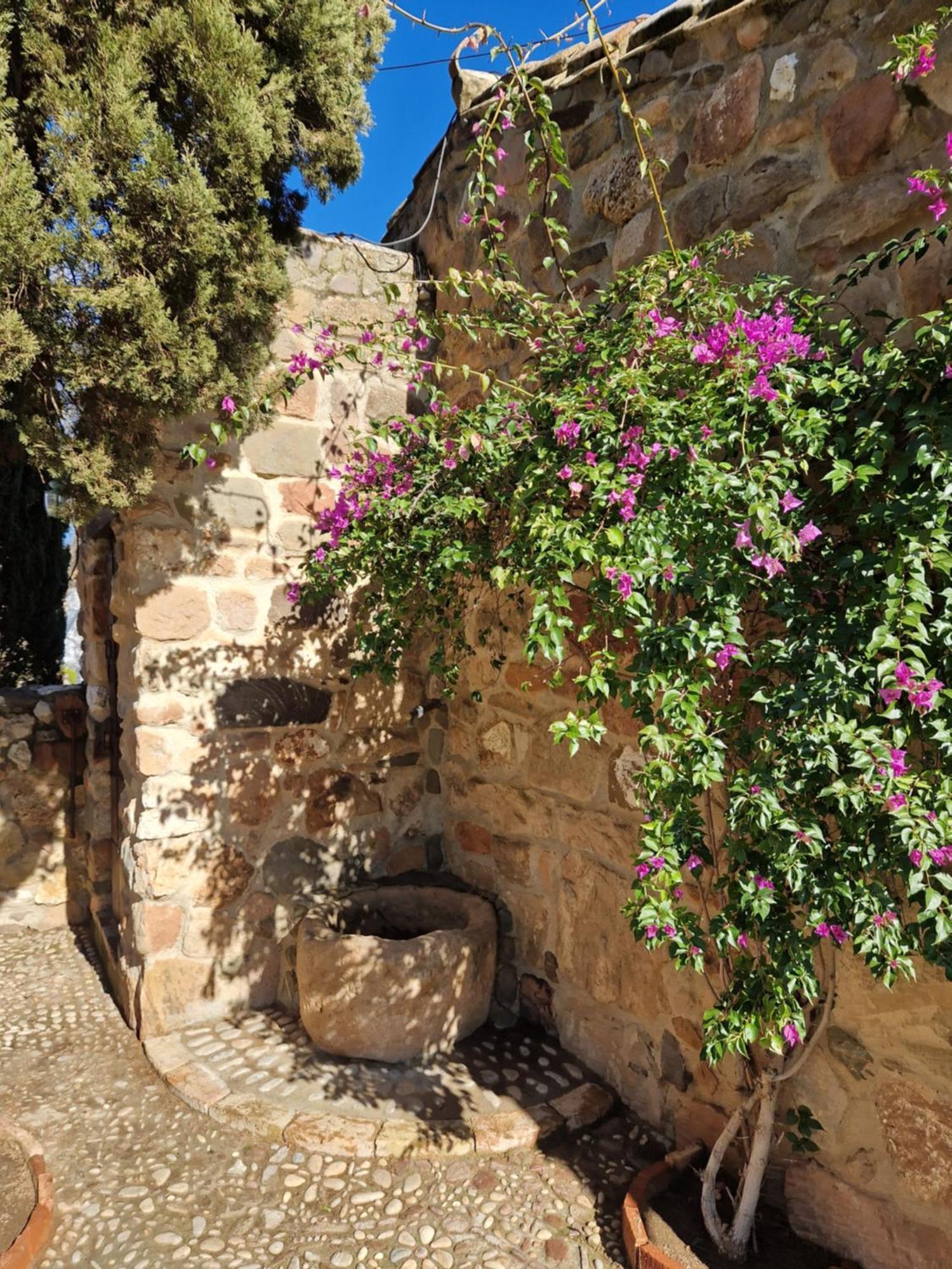 Colonos Alojamientos Rurales Landhaus *