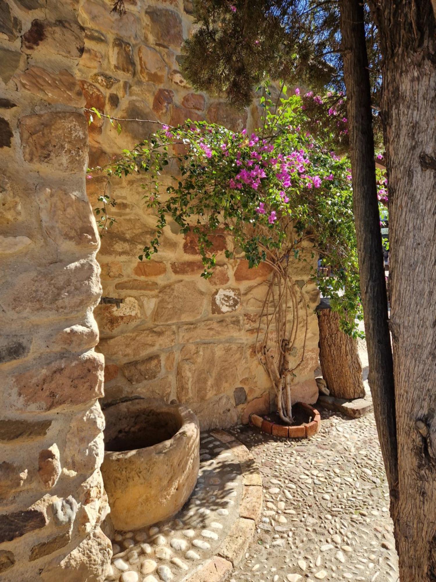 Landhaus Colonos Alojamientos Rurales Guarromán